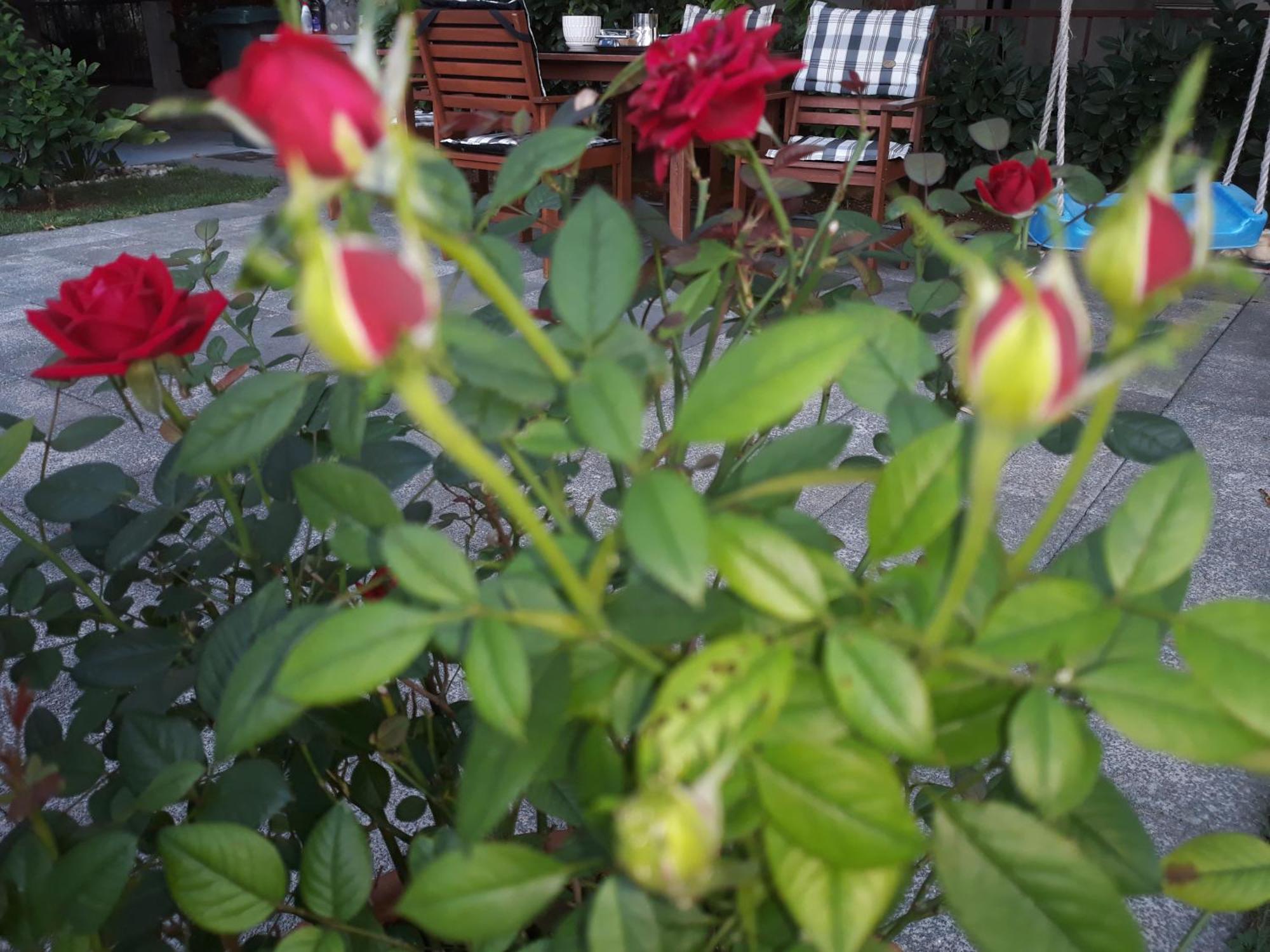 Guest House No 13 Mostar Buitenkant foto
